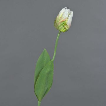 False flower Parrot tulip UAKARI, white-green, 26"/65cm, Ø2.4"/6cm