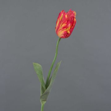 False flower Parrot tulip UAKARI, red-orange-green, 26"/65cm, Ø2.4"/6cm