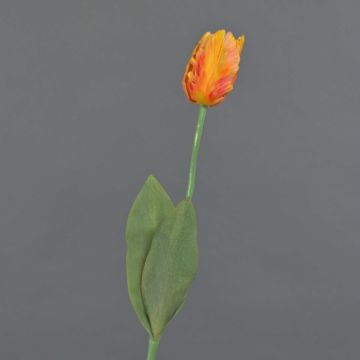 False flower Parrot tulip UAKARI, orange-yellow, 26"/65cm, Ø2.4"/6cm