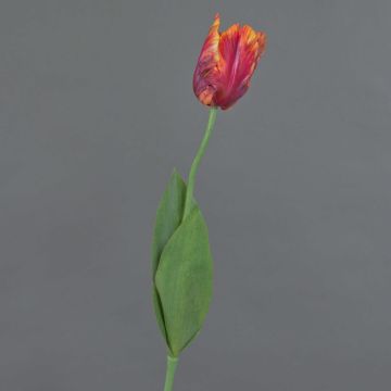 False flower Parrot tulip UAKARI, red-fuchsia-orange-green, 26"/65cm, Ø2.4"/6cm