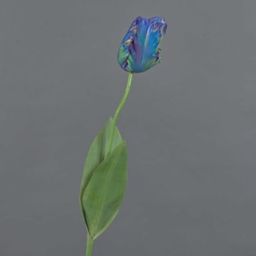 False flower Parrot tulip UAKARI, blue-green, 26"/65cm, Ø2.4"/6cm