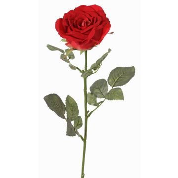 Velvet rose HUSA, red, 30"/75cm, Ø4"/10cm Velvet rose HUSA, red, 30"/75cm, Ø4"/10cm