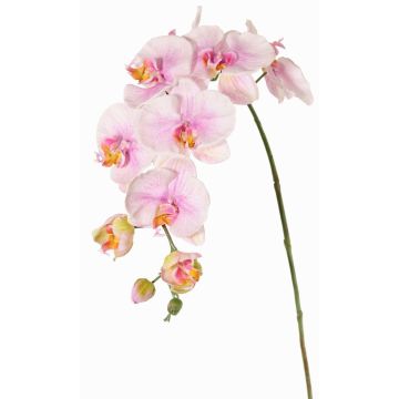 Artificial flower branch Phalaenopsis orchid WESA, pink-white, 3ft/100cm Artificial flower branch Phalaenopsis orchid WESA, pink-white, 3ft/100cm