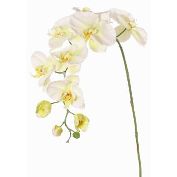 Artificial flower branch Phalaenopsis orchid WESA, white-green, 3ft/100cm Artificial flower branch Phalaenopsis orchid WESA, white-green, 3ft/100cm