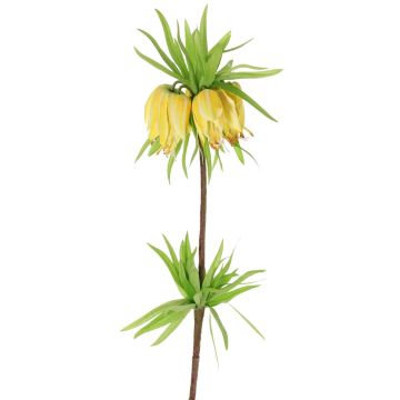 Decorative flower Crown imperial IMST, yellow, 26"/65cm Decorative flower Crown imperial IMST, yellow, 26"/65cm