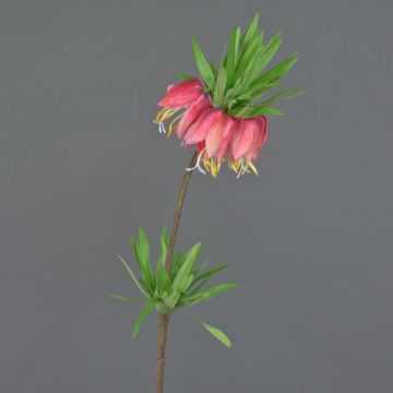 Decorative flower Crown imperial IMST, fuchsia, 26"/65cm