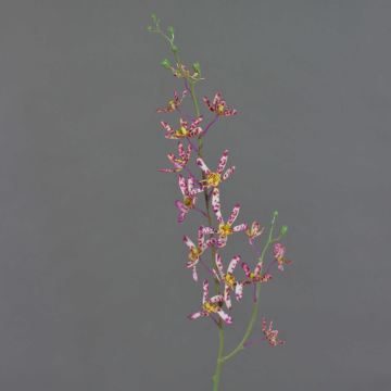 Artificial flower branch Cattleya orchid TRASSA, fuchsia-white-yellow, 31"/80cm