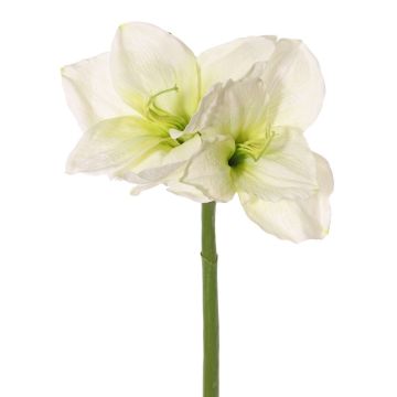 Artificial Amaryllis NARWELA, white-green, 70cm, Ø10–13cm Artificial Amaryllis NARWELA, white-green, 70cm, Ø10–13cm