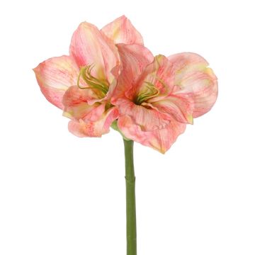 Artificial amaryllis NARWELA, pink-rose-cream, 70cm, Ø10–13cm Artificial amaryllis NARWELA, pink-rose-cream, 70cm, Ø10–13cm