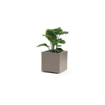 Square planter NASTASJA made of recycled plastic, with water reservoir, casters, taupe, 16"x16"x15"/39,5x39,5x38cm, 35L