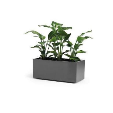 Rectangular planter box NASTASJA made of recycled plastic, with water reservoir, casters, anthracite, 39"x16"x15"/99,5x39,5x38cm, 102L