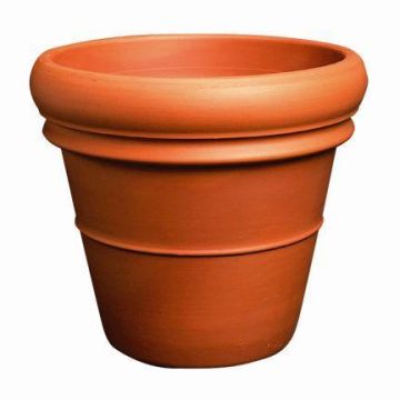 Flowerpot LUTHEN of terracotta with double rim, 18"/45cm, Ø20"/52cm Flowerpot LUTHEN of terracotta with double rim, 18"/45cm, Ø20"/52cm