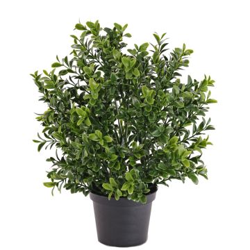 Artificial boxwood plant TOM, crossdoor, 12"/30cm, Ø 8"/20cm