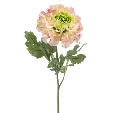 Artificial ranunculus ULISAN, pink-green, 60cm, Ø14cm Artificial ranunculus ULISAN, pink-green, 60cm, Ø14cm