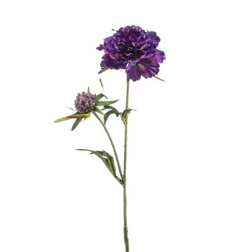 Artificial scabiosa branch BASOLO, dark violet, 55cm