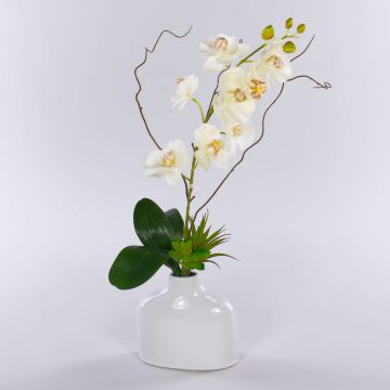 Artificial Phalaenopsis Orchid TIALDA, succulents, ceramic vase, white, 50cm