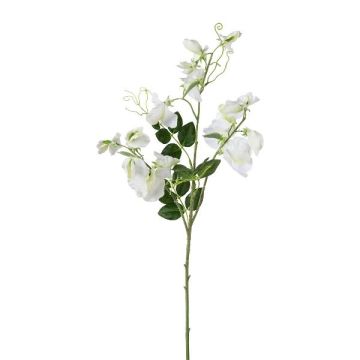 Artificial branch Lathyrus latifolius PLENVO, white, 30"/75cm Artificial branch Lathyrus latifolius PLENVO, white, 30"/75cm