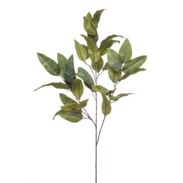 False eucalyptus branch BELUNI, green, 4ft/125cm