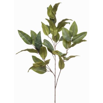 False eucalyptus branch BELUNI, green, 4ft/125cm