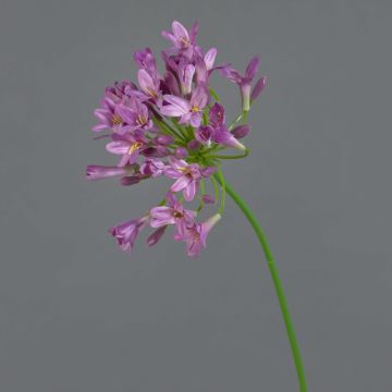 Artificial Agapanthus PHILINA, purple, 30"/75cm, Ø 5.5"/14cm