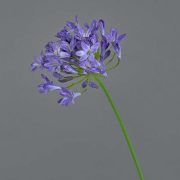 Artificial Agapanthus PHILINA, purple, 30"/75cm, Ø 5.5"/14cm