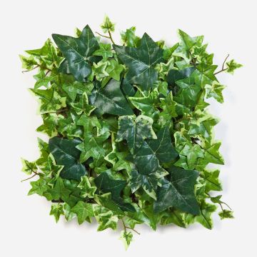 Decorative ivy hedge / mat LUKA, green and white, 30x30cm