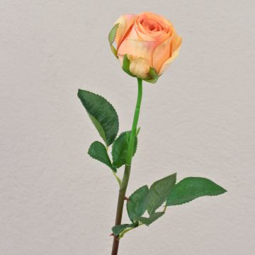 Velvet rose SAPINA, yellow-orange, 60 cm, Ø6 cm