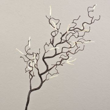 Artificial hazelnut branch BOLTON with catkins, brown-white, 65 cm Artificial hazelnut branch BOLTON with catkins, brown-white, 65 cm