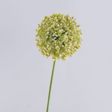 Artificial Allium HELLA, glitter, cream-green, 75cm, Ø11cm Artificial Allium HELLA, glitter, cream-green, 75cm, Ø11cm