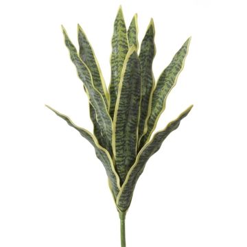 Artificial snake plant LIVIANA, stem, green-yellow, 20"/50cm Artificial snake plant LIVIANA, stem, green-yellow, 20"/50cm