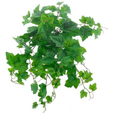 False grapevine hanging plant IGNATIUS, Eco Collection, green, 20"/50cm False grapevine hanging plant IGNATIUS, Eco Collection, green, 20"/50cm