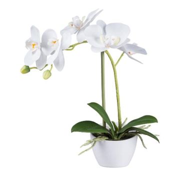 False Phalaenopsis orchid FUNTIF in melamine planter, roots, white, 14"/35cm False Phalaenopsis orchid FUNTIF in melamine planter, roots, white, 14"/35cm