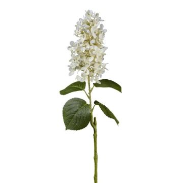 Artificial panicled hydrangea KINELY, white, 30"/75cm Artificial panicled hydrangea KINELY, white, 30"/75cm