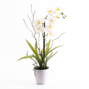 Plastic Phalaenopsis orchid ‘MELINA’ in a decorative pot, white, 65 cm Plastic Phalaenopsis orchid ‘MELINA’ in a decorative pot, white, 65 cm