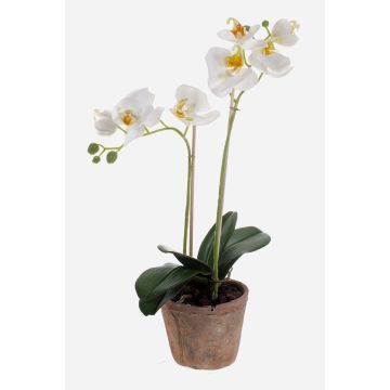 Artificial Phalaenopsis orchid MINA in a terracotta pot, white, 45cm Artificial Phalaenopsis orchid MINA in a terracotta pot, white, 45cm