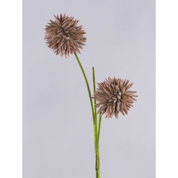 Foam Allium CHIRARA, brown, 90 cm, Ø10 cm Foam Allium CHIRARA, brown, 90 cm, Ø10 cm