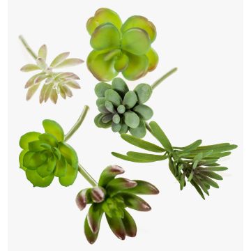 Decorative succulents JADON, spike, 6 pieces, green, 5"/13cm, Ø 2"/5cm