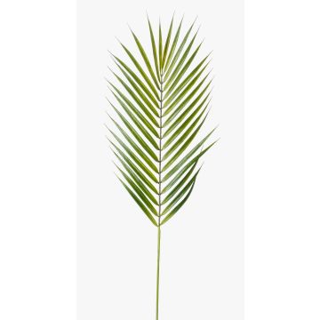 Decorative bamboo palm frond EMILIO, 30"/75cm Decorative bamboo palm frond EMILIO, 30"/75cm