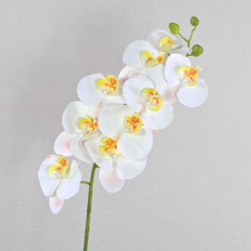 Textile branch Phalaenopsis orchid OPHELIA, white, 3ft/100cm
