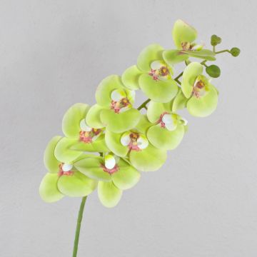 Textile branch Phalaenopsis orchid OPHELIA, green-pink, 3ft/100cm