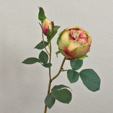 Artificial cabbage rose MIRETTA, green and burgundy, 60 cm, Ø 3–9 cm