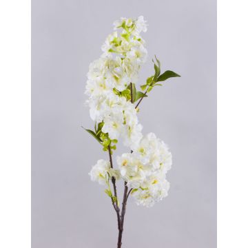 Artificial cherry blossom branch MATSUDA with blossoms, cream-white, 80 cm, Ø6–11 cm
