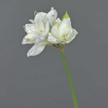 Artificial amaryllis flower BENITA, white, 22"/55cm, Ø 3.9"/10cm