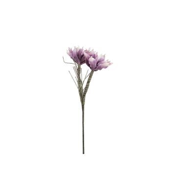 Plastic magnolia NEYLA, crossdoor, violet, 3ft/100cm, Ø4.7"-5.5"/12-14cm Plastic magnolia NEYLA, crossdoor, violet, 3ft/100cm, Ø4.7"-5.5"/12-14cm