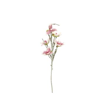 Plastic magnolia NEYLA, crossdoor, white-pink, 3ft/100cm, Ø4.7"-5.5"/12-14cm Plastic magnolia NEYLA, crossdoor, white-pink, 3ft/100cm, Ø4.7"-5.5"/12-14cm
