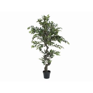 Artificial weeping fig YUMA, artificial trunk, 4ft/110cm