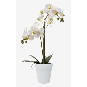 Artificial Phalaenopsis orchid CANDIDA in a ceramic pot, white, 65cm Artificial Phalaenopsis orchid CANDIDA in a ceramic pot, white, 65cm