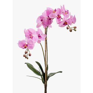 Decorative Phalaenopsis orchid CANDIDA on spike, pink, 26"/65cm Decorative Phalaenopsis orchid CANDIDA on spike, pink, 26"/65cm