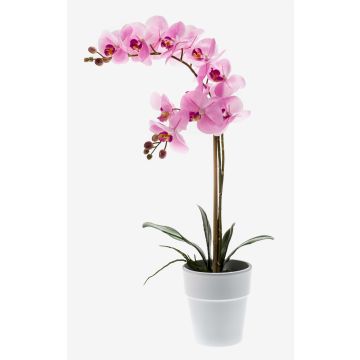 Artificial Phalaenopsis orchid CANDIDA in a ceramic pot, pink, 65cm