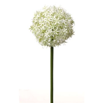 Plastic Allium SAMARA, cream, 30"/75cm, Ø 4.7"/12cm Plastic Allium SAMARA, cream, 30"/75cm, Ø 4.7"/12cm
